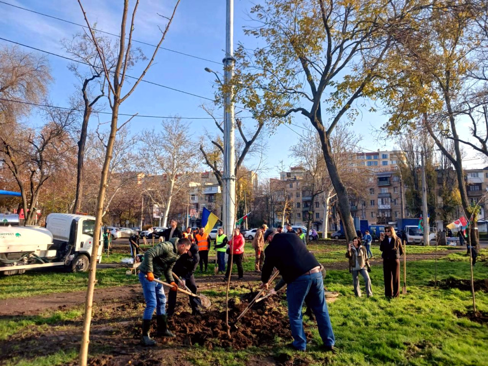 9807 image for slide