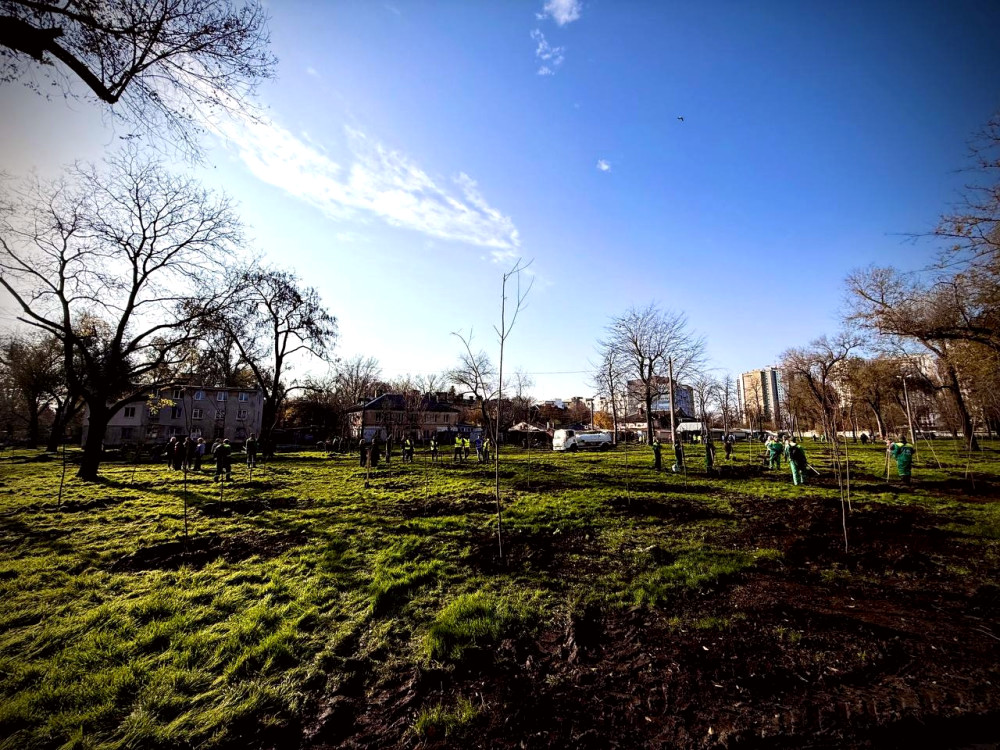 9808 image for slide