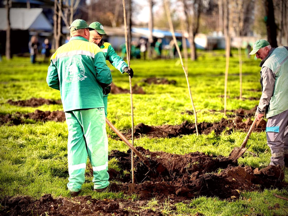 9810 image for slide