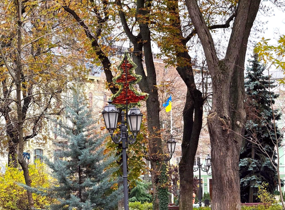 9824 image for slide