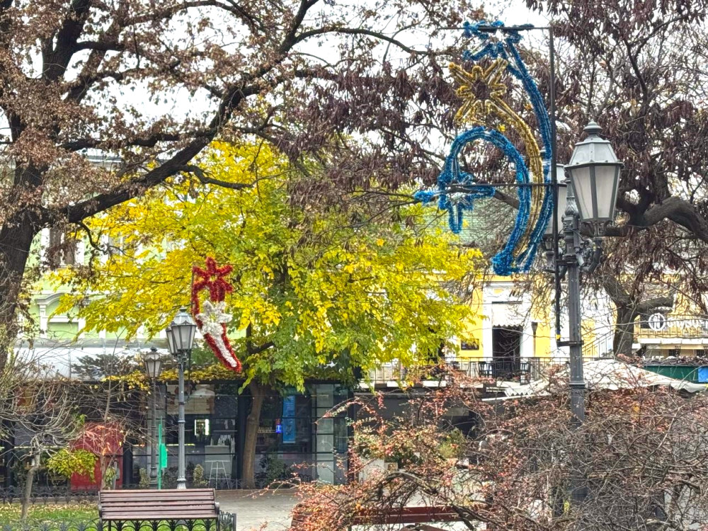 9825 image for slide