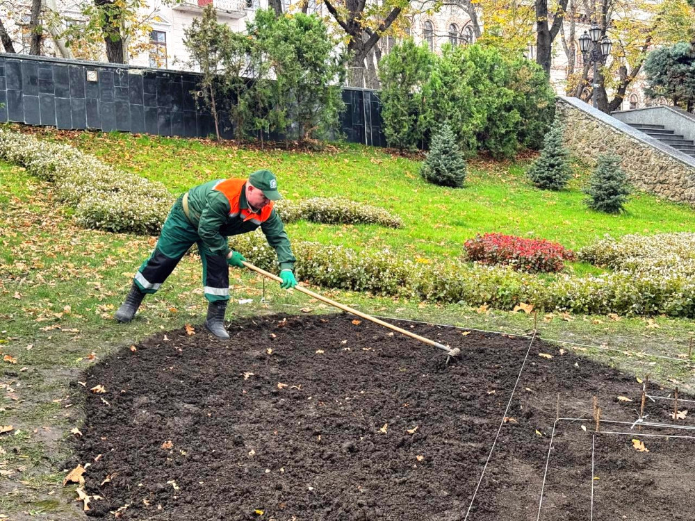 9860 image for slide