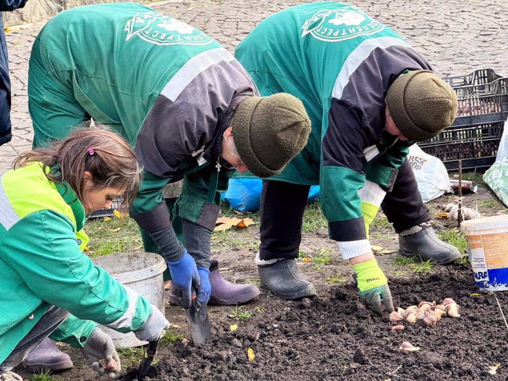 9861 image for slide