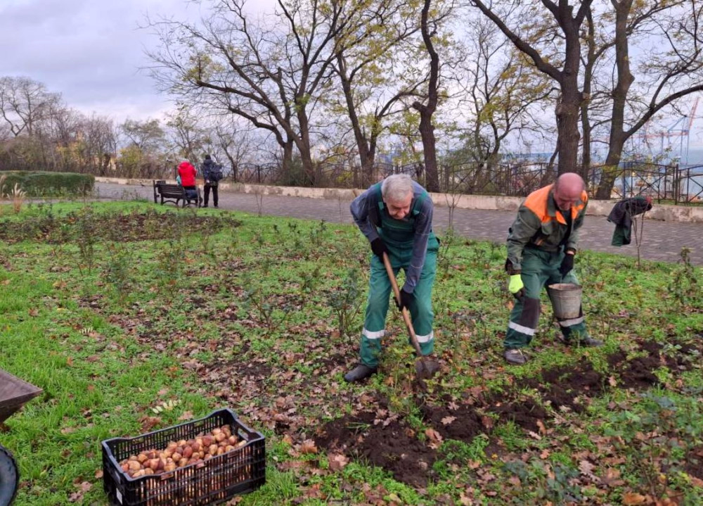 9862 image for slide