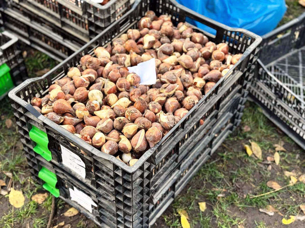 9864 image for slide