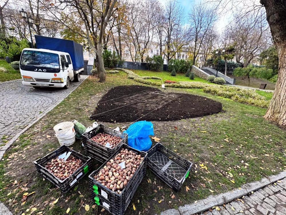 9866 image for slide