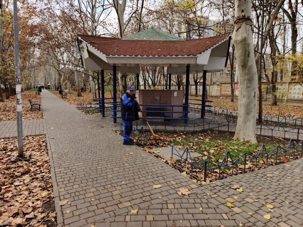 9923 image for slide