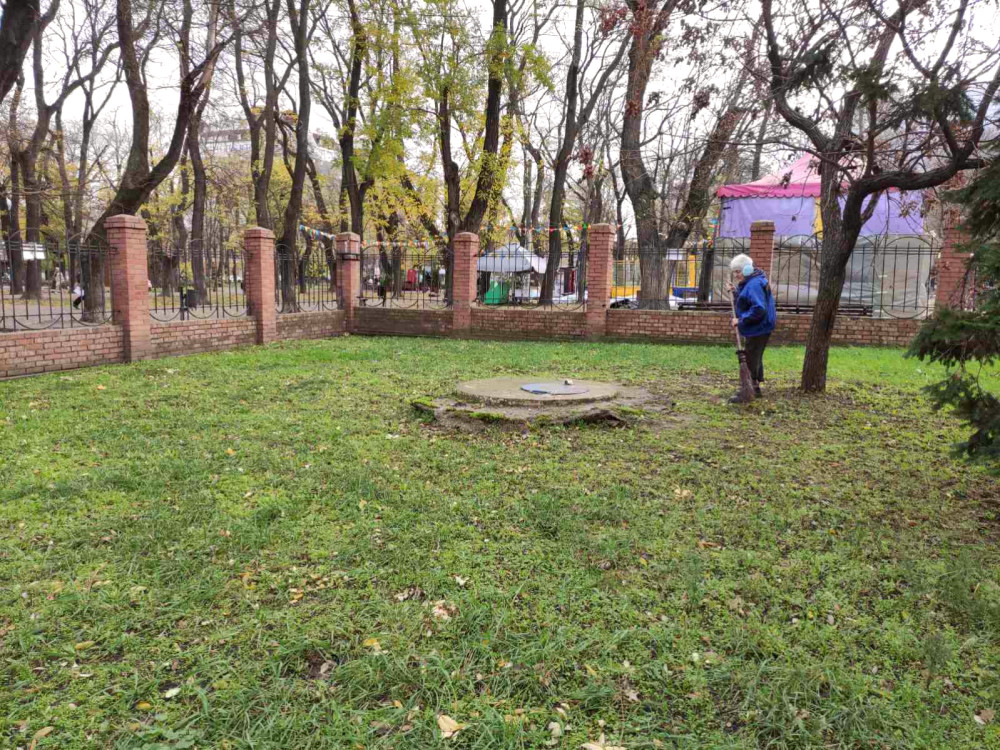 9926 image for slide